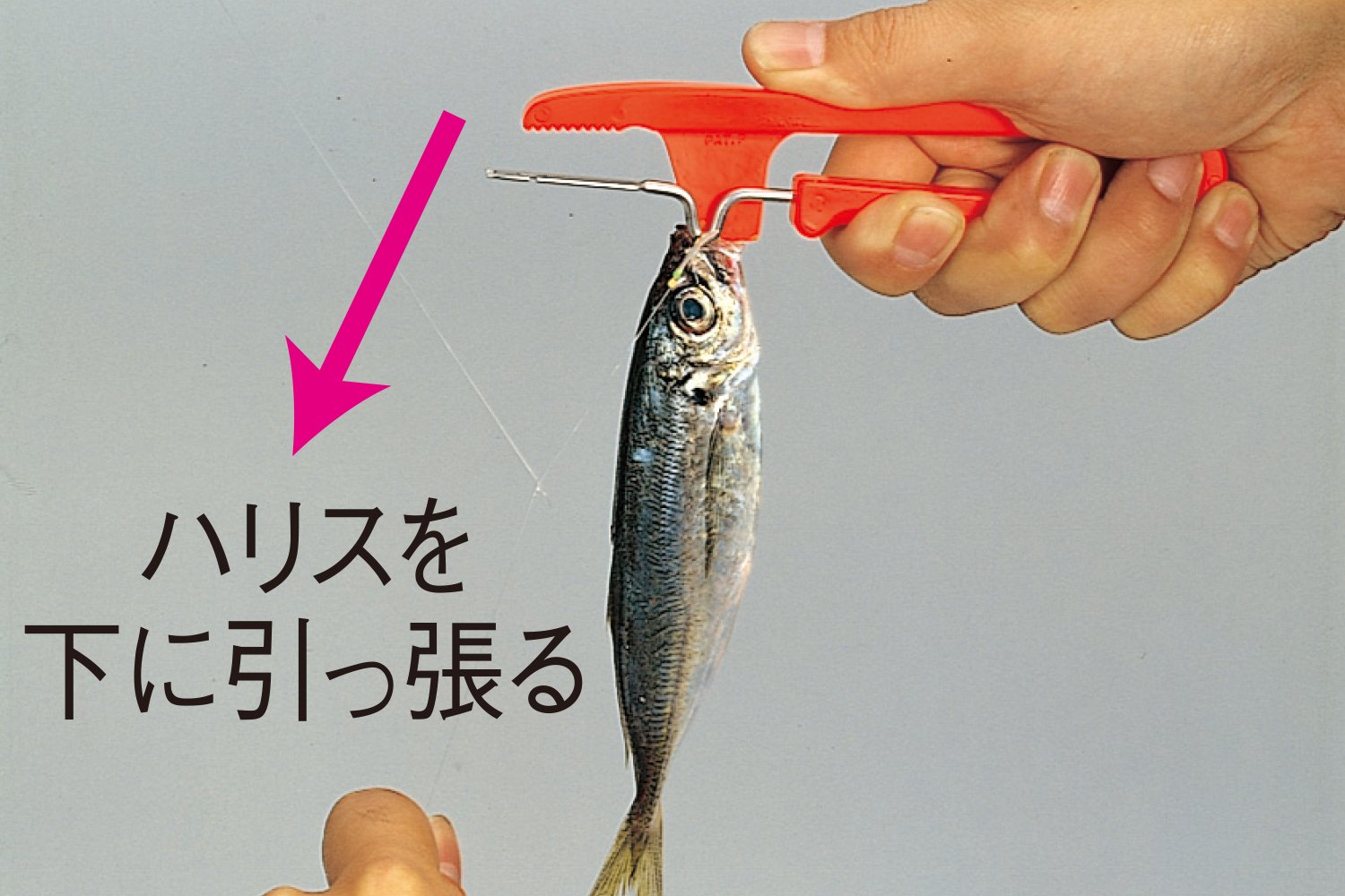 Amazon | 第一精工 自動針ハズシ 32038 レッド 154x56x16mm | 第一精工